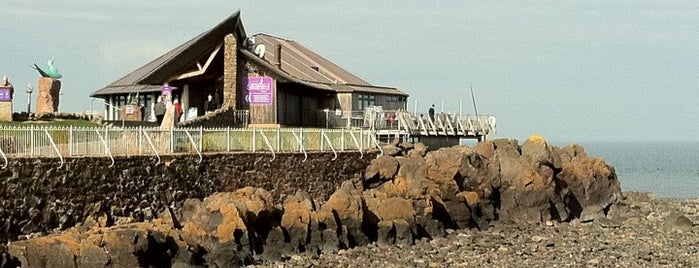 Scottish Seabird Centre is one of Эдинбурговое.