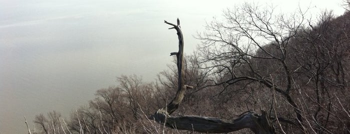 Greenbrook Sanctuary is one of Kimmie's Saved Places.