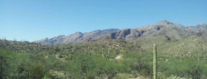 Favorite Hiking Trails in Tucson, AZ