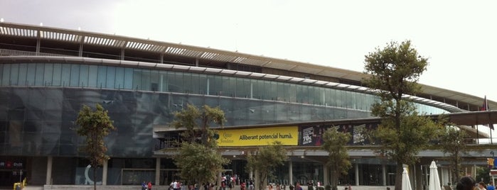 Museu Futbol Club Barcelona is one of Museus.