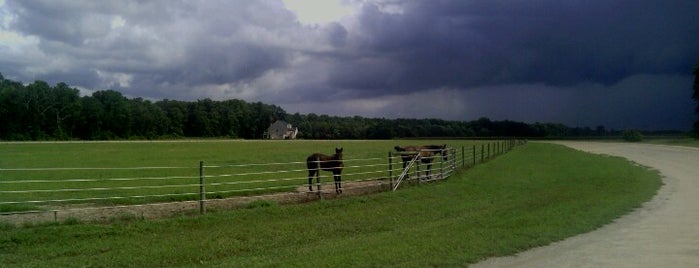 Laurel, DE is one of Towns.