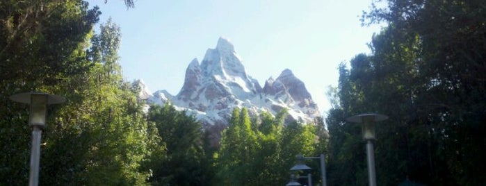 Expedition Everest is one of Lake Buena Vista, Arts & Entertainment.
