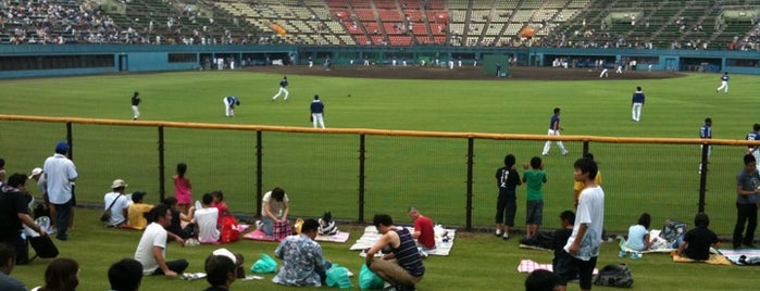 バッティングパレス相石スタジアムひらつか (平塚球場) is one of Baseball Stadium.