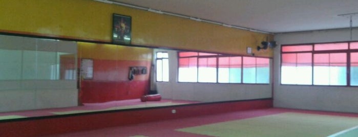 TSKF - Templo Shaolin de Kung Fu is one of Academias da TSKF.