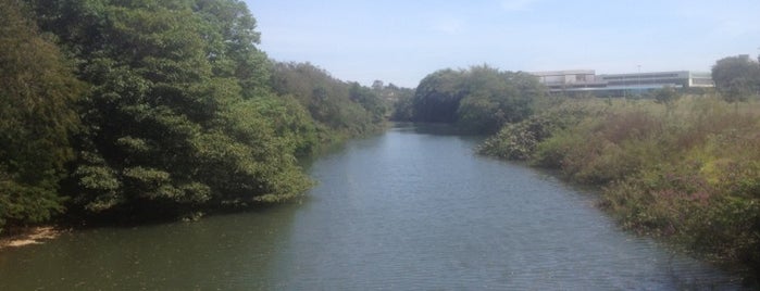 Rio Uberabinha is one of Heloisa : понравившиеся места.