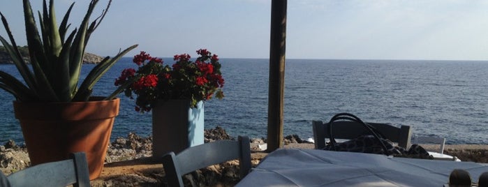 Lelas Taverna is one of Jewels all over Greece.