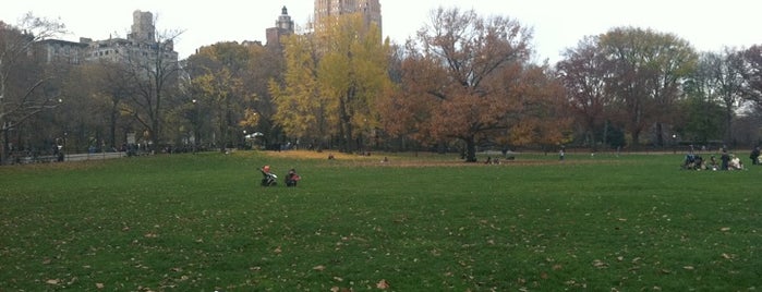 Sheep Meadow is one of NYC to do.