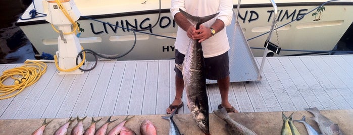 Living on Island Time, Fishing Charters from The Palm Beach Yacht Center is one of Favorites.