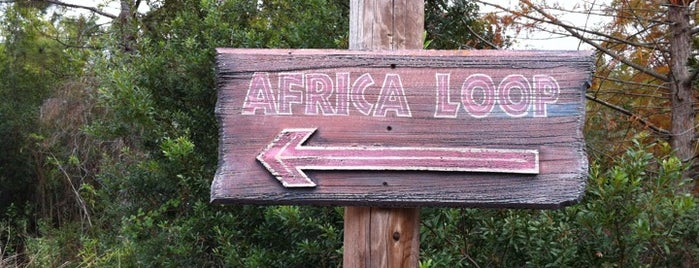 Jacksonville Zoo Africa Loop is one of Orte, die Lizzie gefallen.