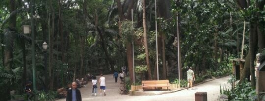 Parque Tenente Siqueira Campos (Trianon) is one of Preferidos São Paulo.