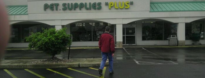 Pet Supplies Plus is one of Kathy's to do list.