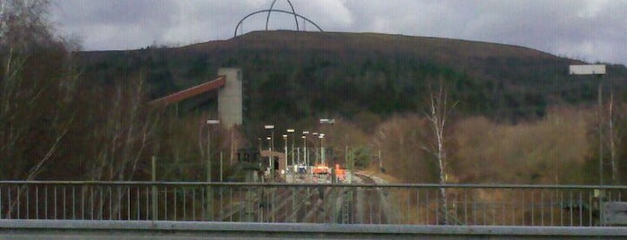 Landschaftspark Hoheward is one of Erlebnisse in NRW.