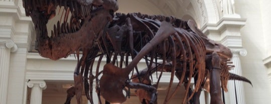 The Field Museum is one of USA 2012 coast to coast.