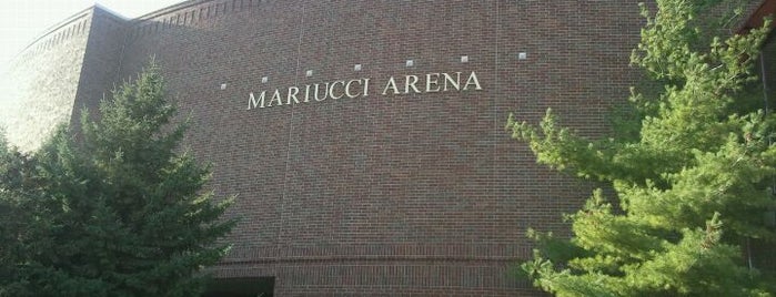 3M Arena at Mariucci is one of East Bank: University of Minnesota - Twin Cities.