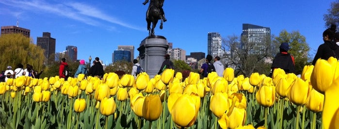 Boston Public Garden is one of Boston Favorites.