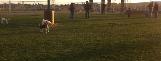 Sunset Dog Park is one of Locais curtidos por Heather.