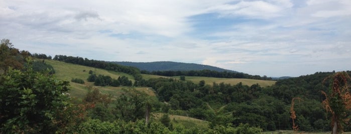 Hollin Farms is one of Mary's Saved Places.