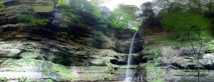 Starved Rock State Park is one of Illinois: State and National Parks.
