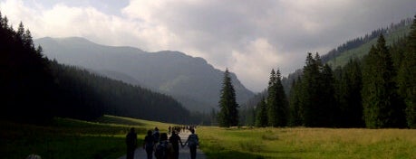 Dolina Kościeliska is one of Tatry.