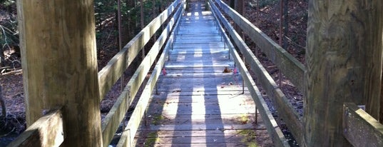 Black Creek Preserve is one of New Paltz, NY.