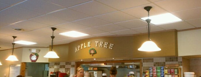 Apple Tree Restaurant is one of Locais curtidos por Noah.
