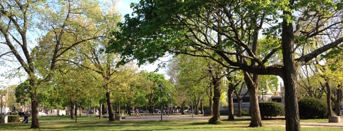 Cambridge Common Park is one of My Cambridge (Harvard).