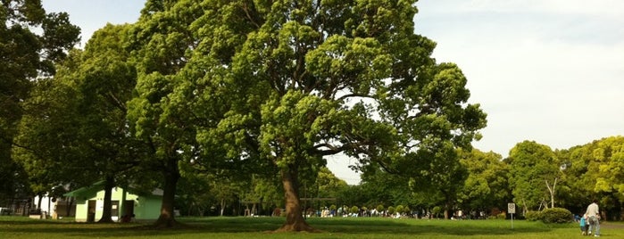 Shinozaki Park is one of 東京の公園50.