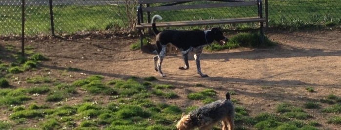 Silver Lake Park Dog Run is one of Orte, die Lizzie gefallen.