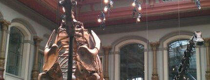 Museo de Historia Natural is one of Guide to Berlin with Kids.