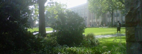 Great Lawn is one of St. John's University.