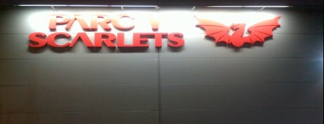 Parc y Scarlets is one of UK & Ireland Pro Rugby Grounds.