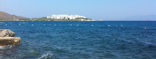 Pareo beach club is one of Lugares favoritos de Semra.
