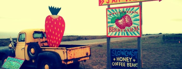 Swanton Berry Farm is one of Trip down Hwy 1.