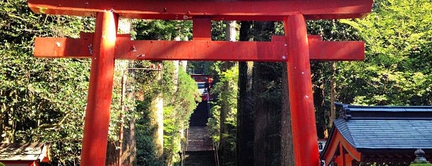 Hakone-jinja Shrine is one of 箱根.