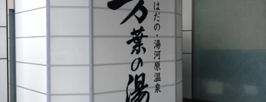 はだの・湯河原温泉 万葉の湯 is one of 入浴施設@関東近郊.