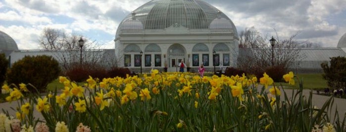 Buffalo & Erie County Botanical Gardens is one of buffalo for the film festival!.
