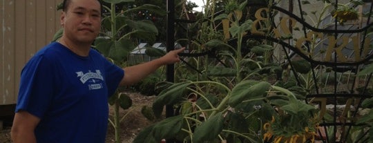 Whitelock Community Garden is one of The Great Baltimore Check-In 2012.