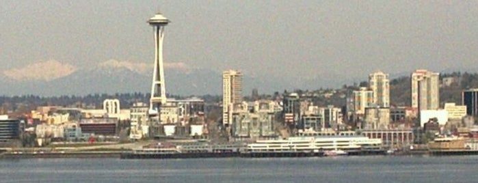 Hamilton Viewpoint Park is one of Seattle at its best!.