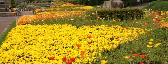 広島市植物公園 is one of 広島県内のミュージアム / Museums in Hiroshima.