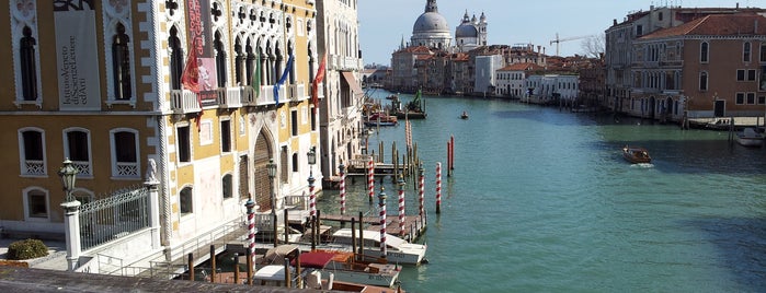 Ponte dell'Accademia is one of Art & Tourism in Venezia.