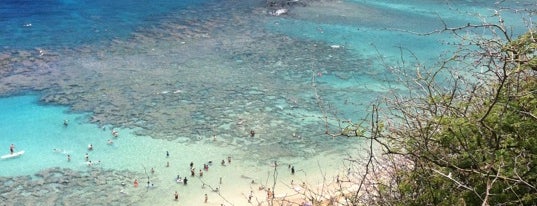 Hanauma Bay Nature Preserve is one of Now this is a VACAY!!.