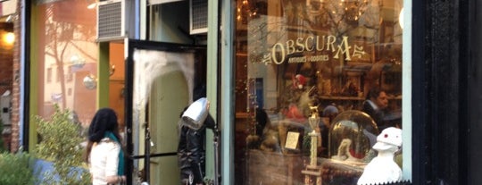 Obscura Antiques and Oddities is one of Best Places In NYC.