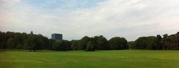 Goffertpark is one of Concert venues in Nijmegen.