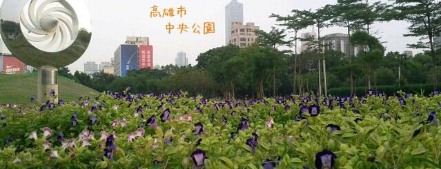 Central Park is one of 高雄必逛景點 Kaohsiung Place.