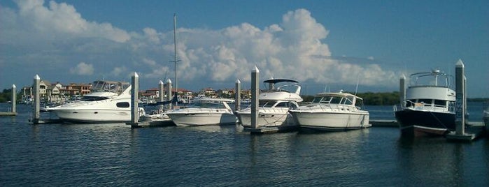 Hula Bay Club is one of USA - Tampa.
