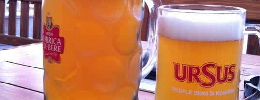 Fabrica de Bere Ursus is one of Brewers, Bars and Gastropubs in Cluj-Napoca.