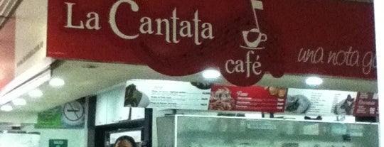 La Cantata Café is one of Darwin'in Beğendiği Mekanlar.