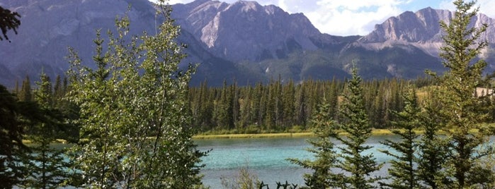 Bow Valley Provincial Park is one of Favorite Great Outdoors (Canadian West Coast).