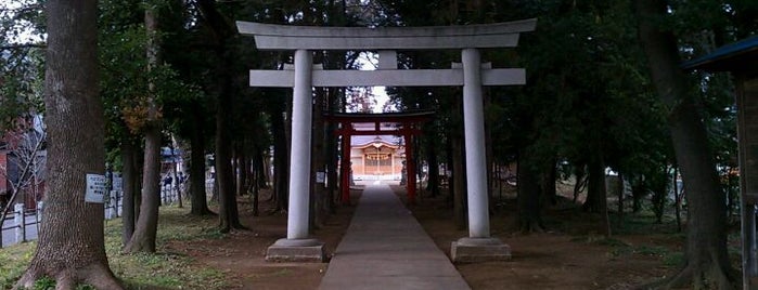 大和田氷川神社 is one of 大都会新座part2.