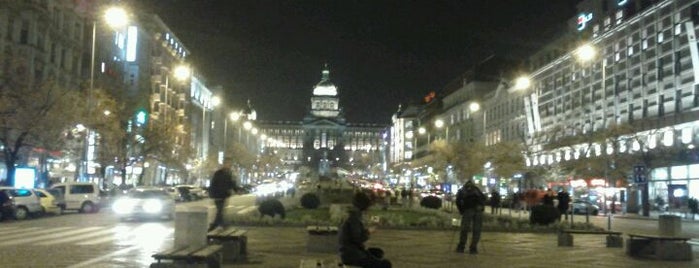 Plaza de Wenceslao is one of One day in Prague.